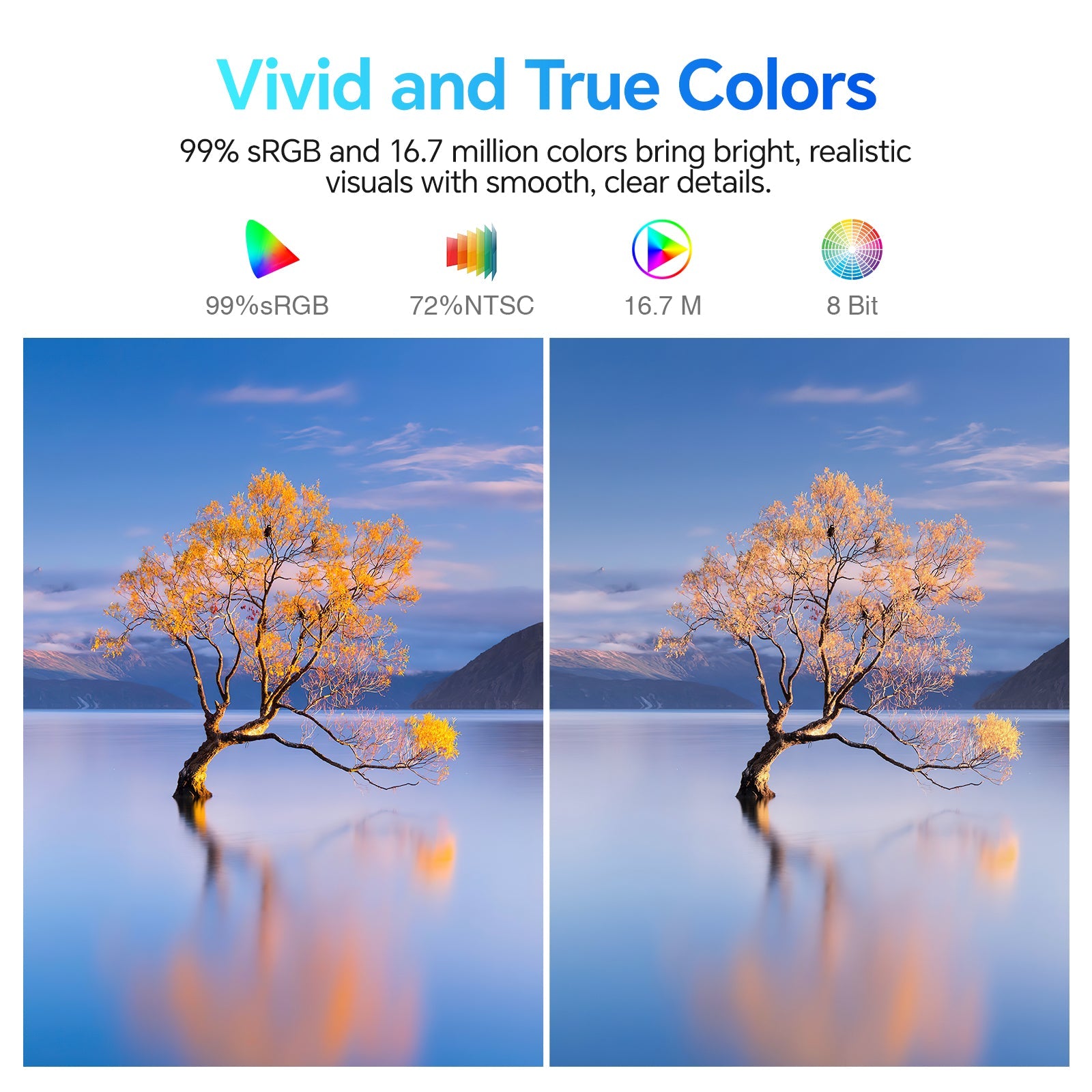 KOORUI E2411K 24-inch IPS FHD 144Hz Business Monitor